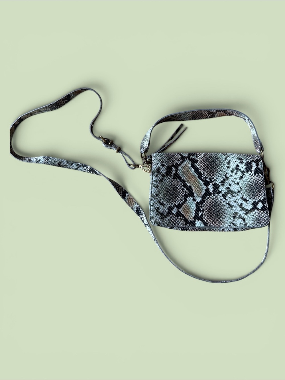 NEW Madewell Snake Print Crossbody/Shoulder/Clutch Bag NWT